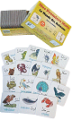 Mes Premiers Mots : Le Monde des animaux : domestiques, sauvages, marins, insectes, petits animaux, oiseaux (59 cartes) - Jeux et activités Mes Premiers Mots : Le Monde des animaux : domestiques, sauvages, marins, insectes, petits animaux, oiseaux (59 cartes) - Jeux et activités