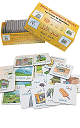 Mes Premiers Mots : Les Lieux du Quotidien (66 cartes bilingues français/arabe) - Jeux et activités Mes Premiers Mots : Les Lieux du Quotidien (66 cartes bilingues français/arabe) - Jeux et activités